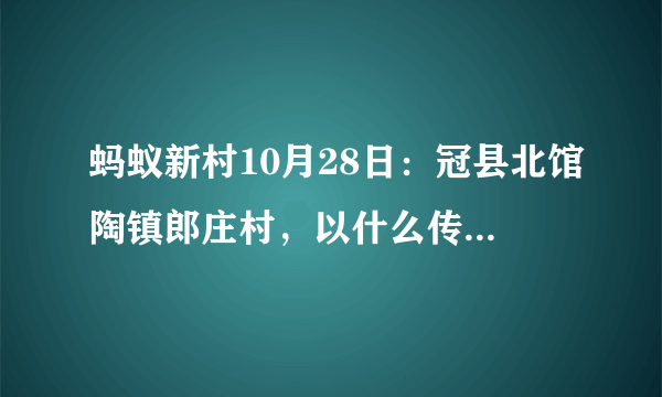 蚂蚁新村10月28日：冠县北馆陶镇郎庄村，以什么传统工艺闻名全国？