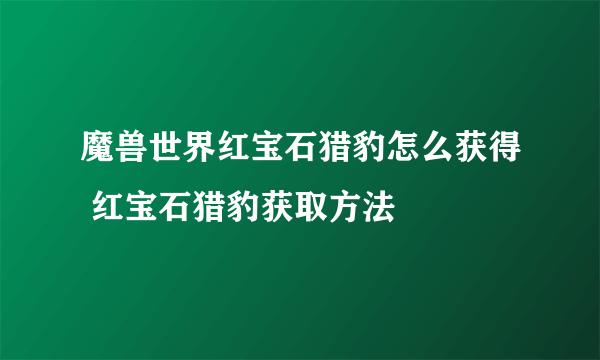 魔兽世界红宝石猎豹怎么获得 红宝石猎豹获取方法