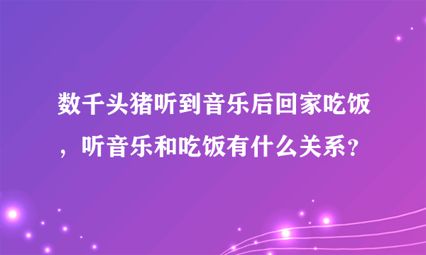 数千头猪听到音乐后回家吃饭，听音乐和吃饭有什么关系？