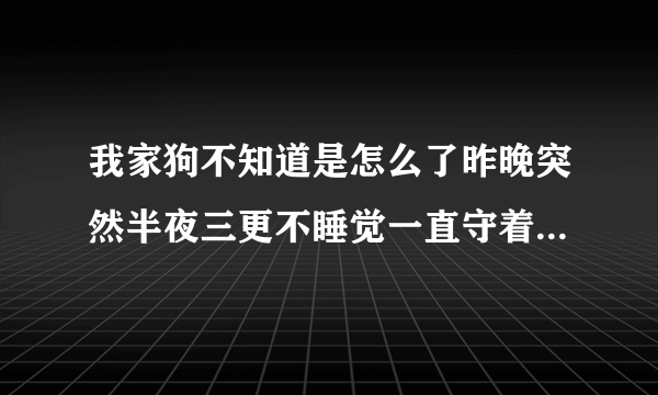 我家狗不知道是怎么了昨晚突然半夜三更不睡觉一直守着我闹腾�