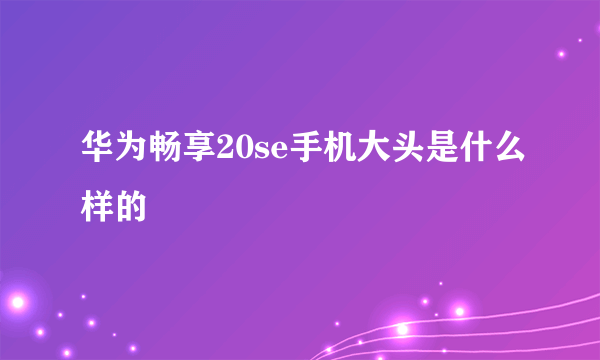 华为畅享20se手机大头是什么样的