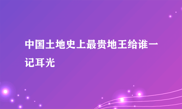 中国土地史上最贵地王给谁一记耳光