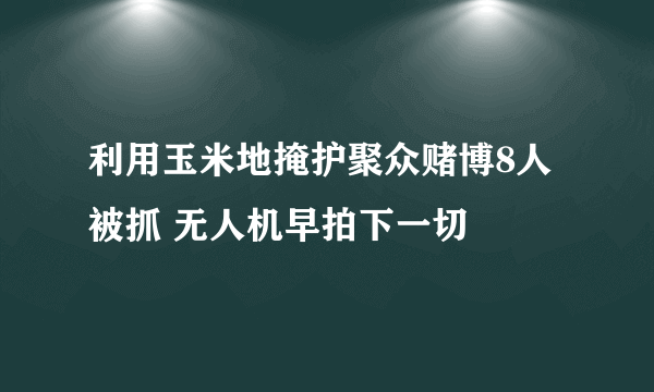 利用玉米地掩护聚众赌博8人被抓 无人机早拍下一切