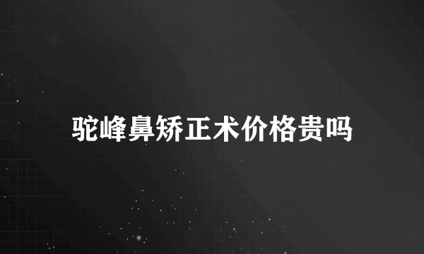 驼峰鼻矫正术价格贵吗