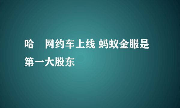 哈啰网约车上线 蚂蚁金服是第一大股东