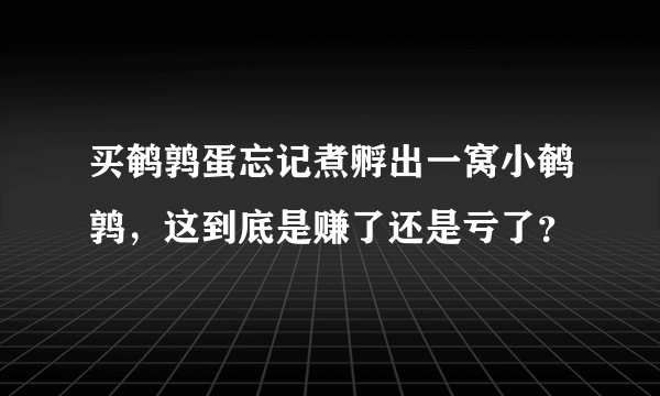 买鹌鹑蛋忘记煮孵出一窝小鹌鹑，这到底是赚了还是亏了？