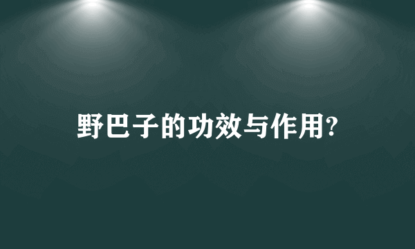 野巴子的功效与作用?