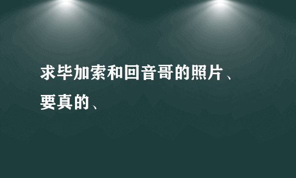 求毕加索和回音哥的照片、 要真的、