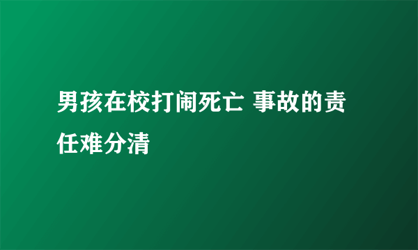 男孩在校打闹死亡 事故的责任难分清