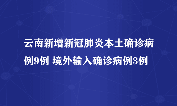 云南新增新冠肺炎本土确诊病例9例 境外输入确诊病例3例