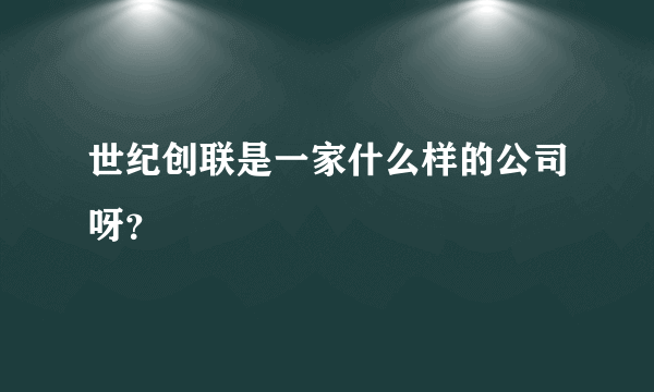 世纪创联是一家什么样的公司呀？