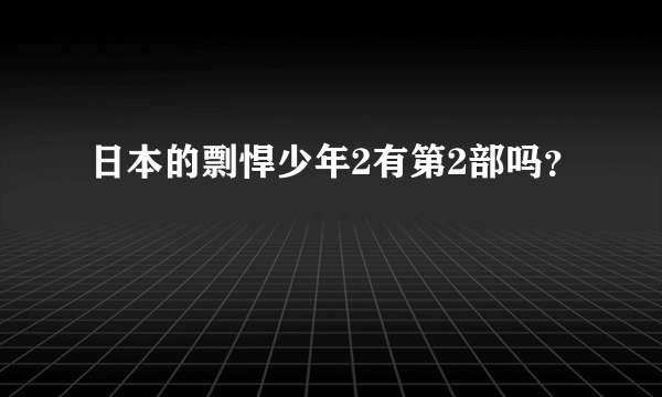 日本的剽悍少年2有第2部吗？