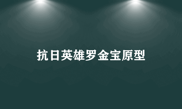 抗日英雄罗金宝原型