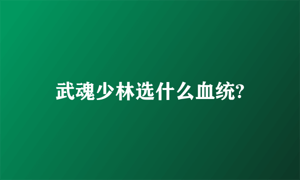 武魂少林选什么血统?