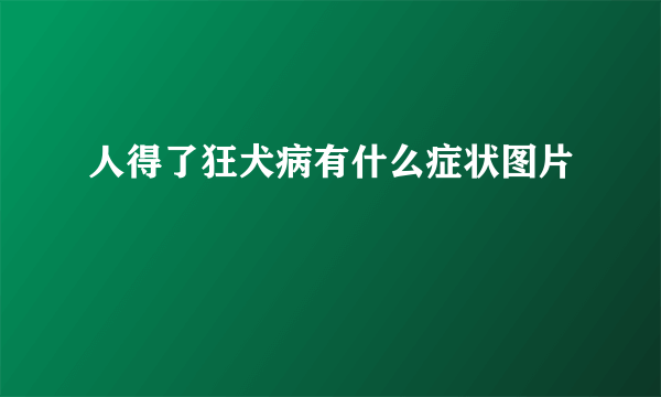 人得了狂犬病有什么症状图片