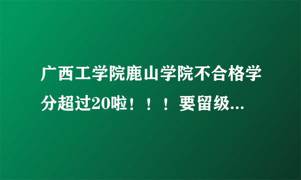 广西工学院鹿山学院不合格学分超过20啦！！！要留级吗。。有什么办法补救。。