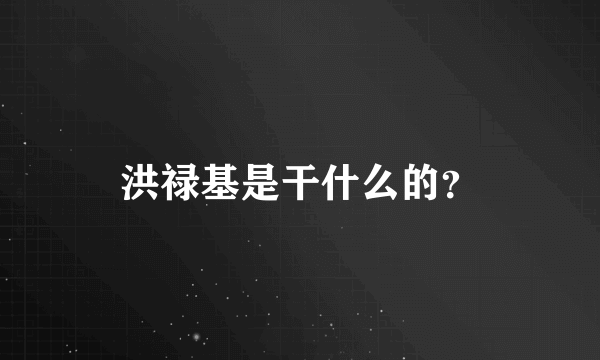 洪禄基是干什么的？