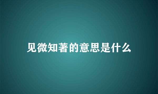 见微知著的意思是什么