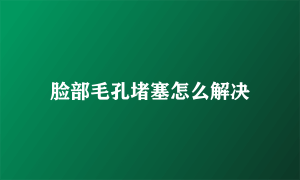 脸部毛孔堵塞怎么解决