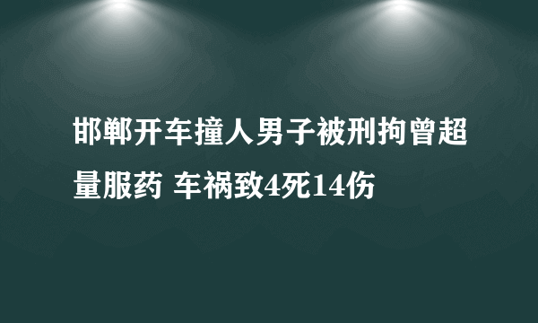 邯郸开车撞人男子被刑拘曾超量服药 车祸致4死14伤