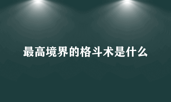 最高境界的格斗术是什么