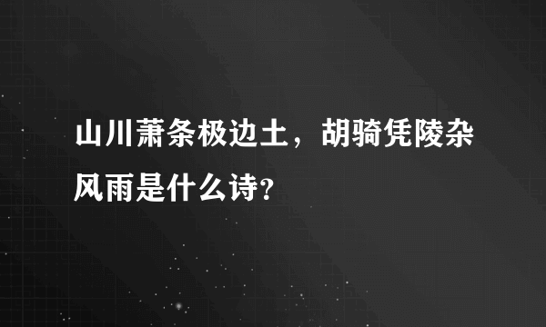 山川萧条极边土，胡骑凭陵杂风雨是什么诗？