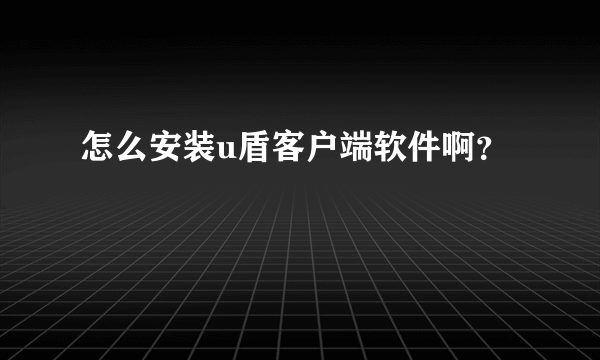 怎么安装u盾客户端软件啊？