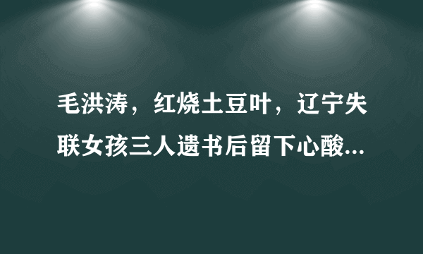 毛洪涛，红烧土豆叶，辽宁失联女孩三人遗书后留下心酸的离世方式