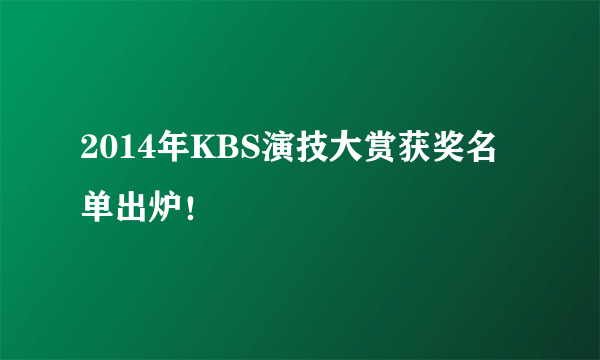 2014年KBS演技大赏获奖名单出炉！