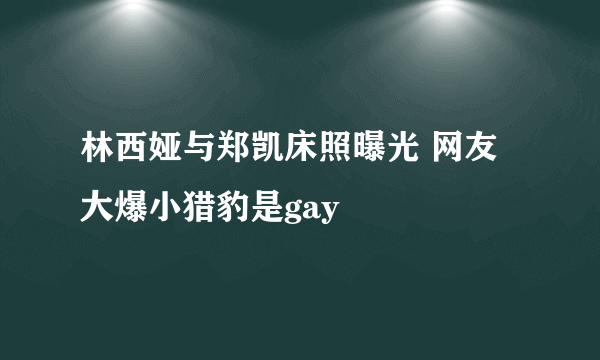 林西娅与郑凯床照曝光 网友大爆小猎豹是gay