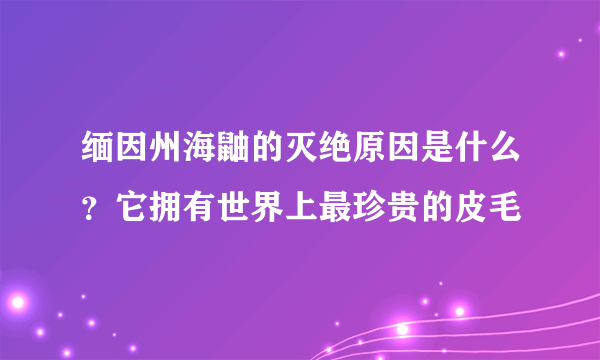 缅因州海鼬的灭绝原因是什么？它拥有世界上最珍贵的皮毛