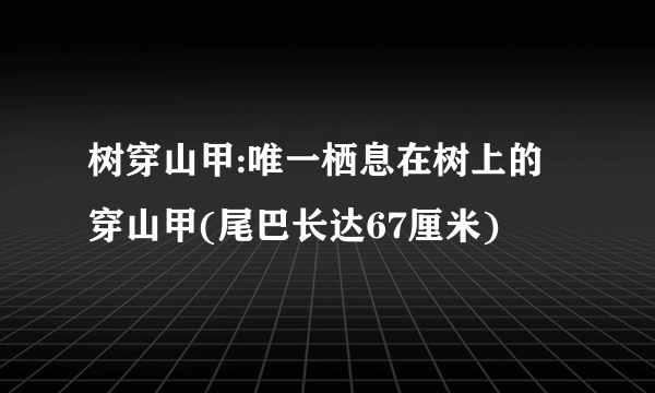 树穿山甲:唯一栖息在树上的穿山甲(尾巴长达67厘米)