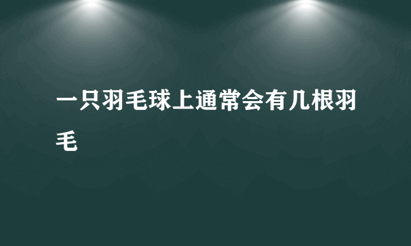 一只羽毛球上通常会有几根羽毛