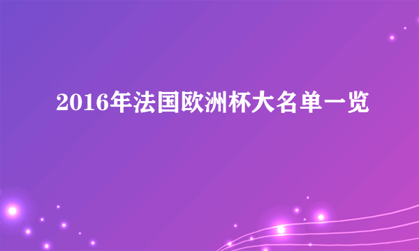 2016年法国欧洲杯大名单一览