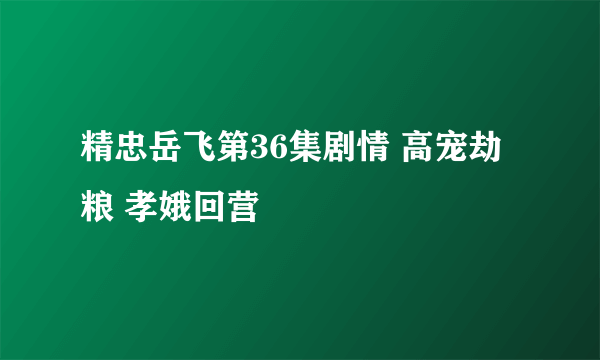 精忠岳飞第36集剧情 高宠劫粮 孝娥回营