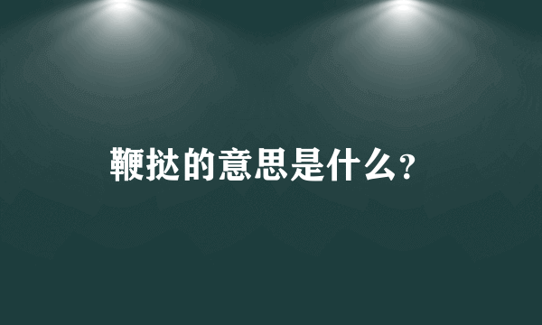 鞭挞的意思是什么？