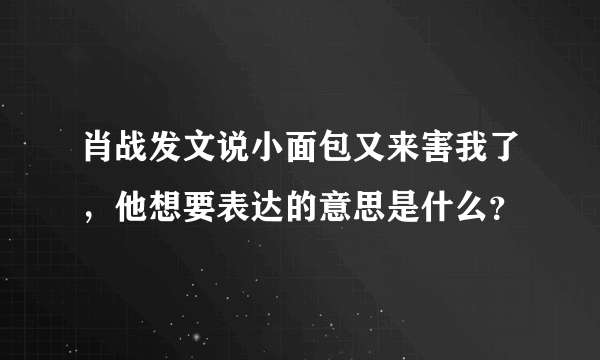 肖战发文说小面包又来害我了，他想要表达的意思是什么？