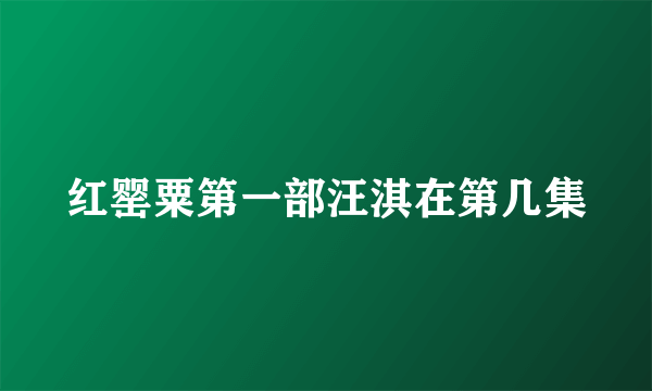 红罂粟第一部汪淇在第几集