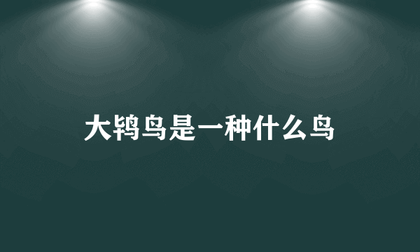 大鸨鸟是一种什么鸟