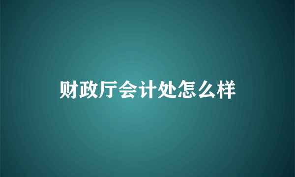 财政厅会计处怎么样