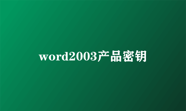 word2003产品密钥